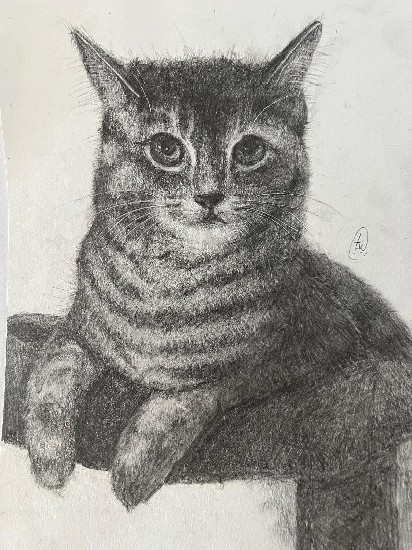 Ages 10+ artwork